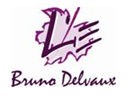 Description : Logo BRUNO DELVAUX 140110